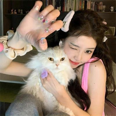 七彩狗