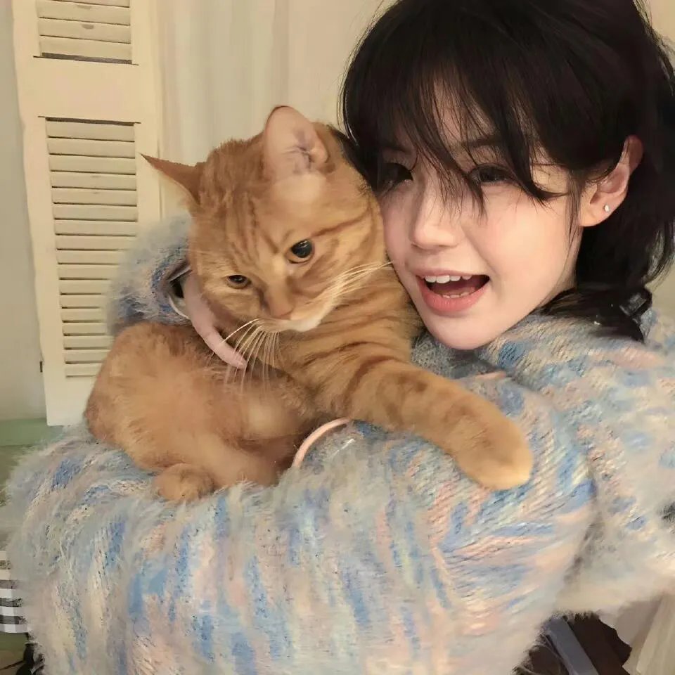 2026热播剧精选第139期